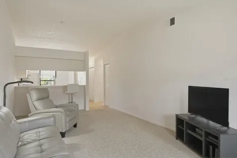 1311 Powderpuff Drive Dunedin FL 34698