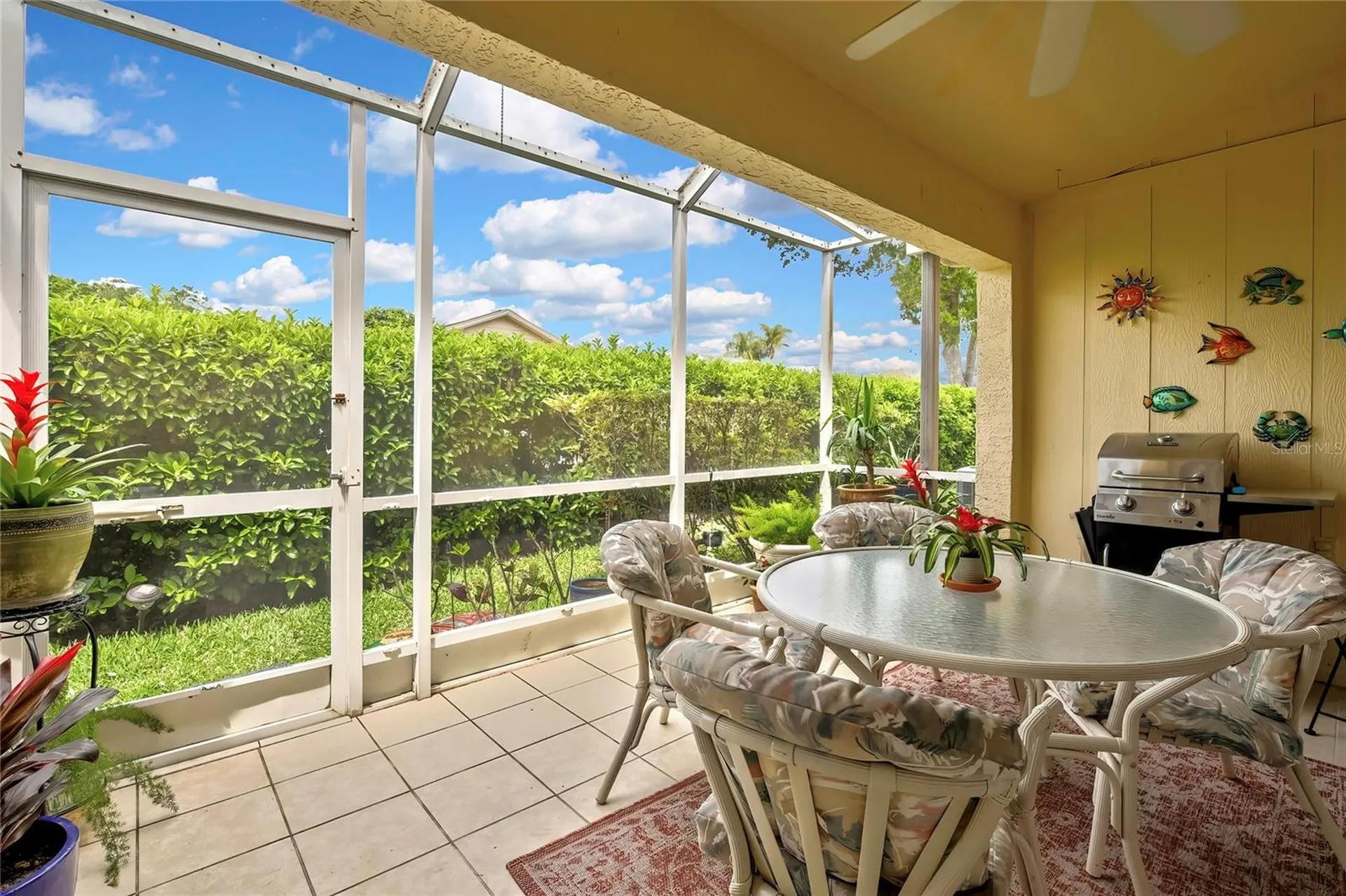 6447 Pine Walk Drive New Port Richey FL 34655