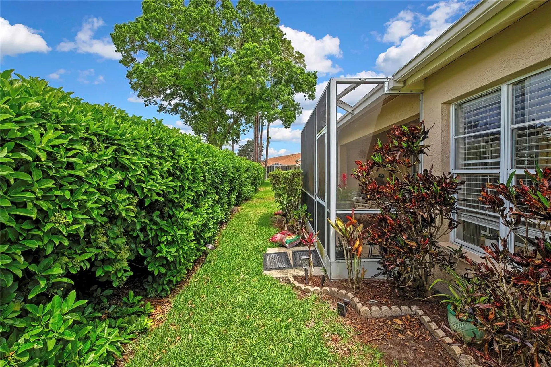 6447 Pine Walk Drive New Port Richey FL 34655