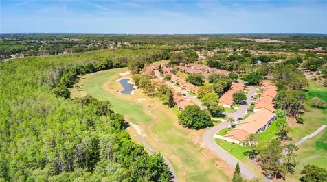 6447 Pine Walk Drive New Port Richey FL 34655