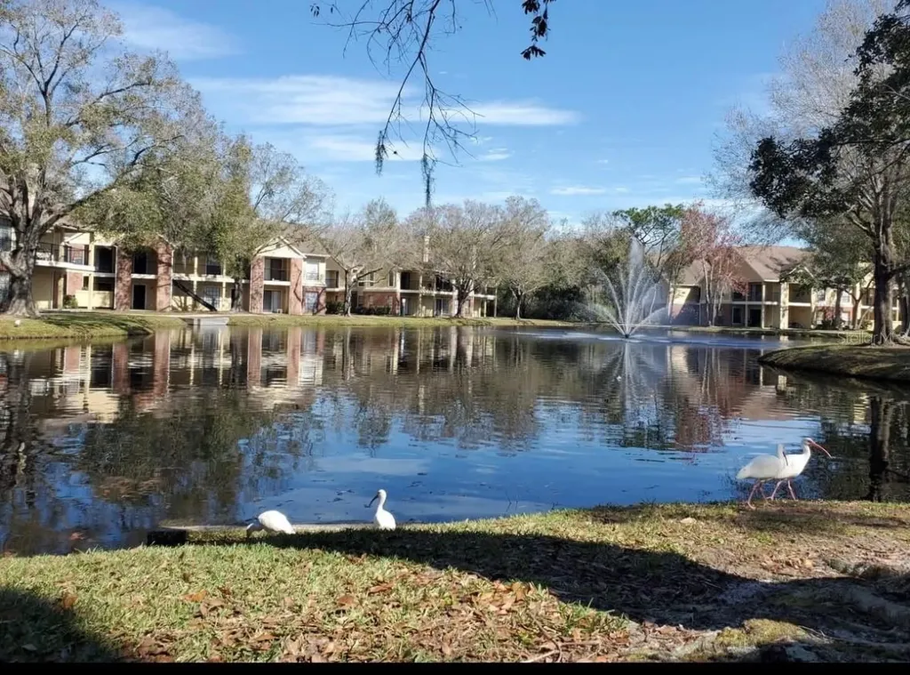8723 Fancy Finch Drive Tampa FL 33614