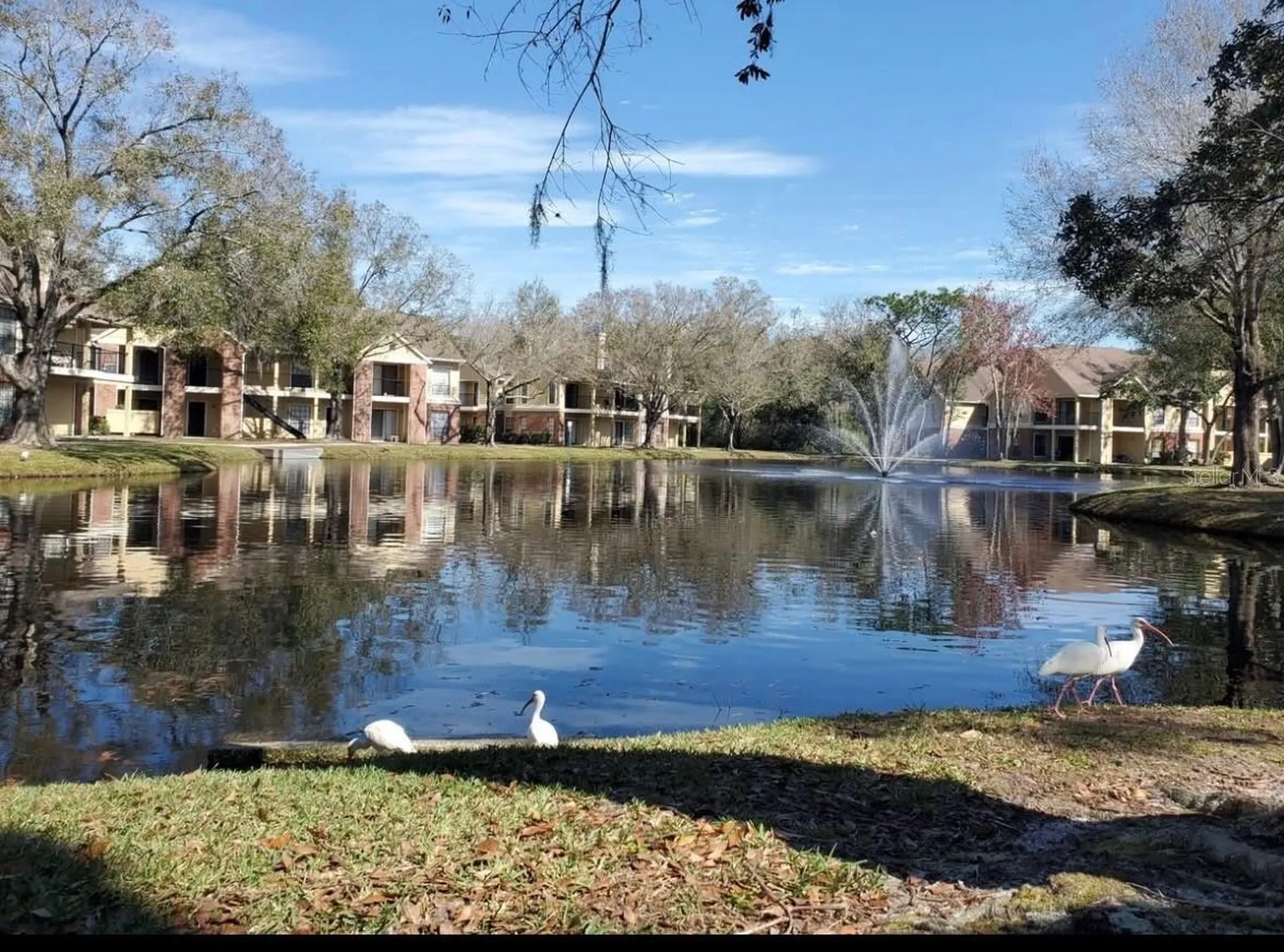8723 Fancy Finch Drive Tampa FL 33614