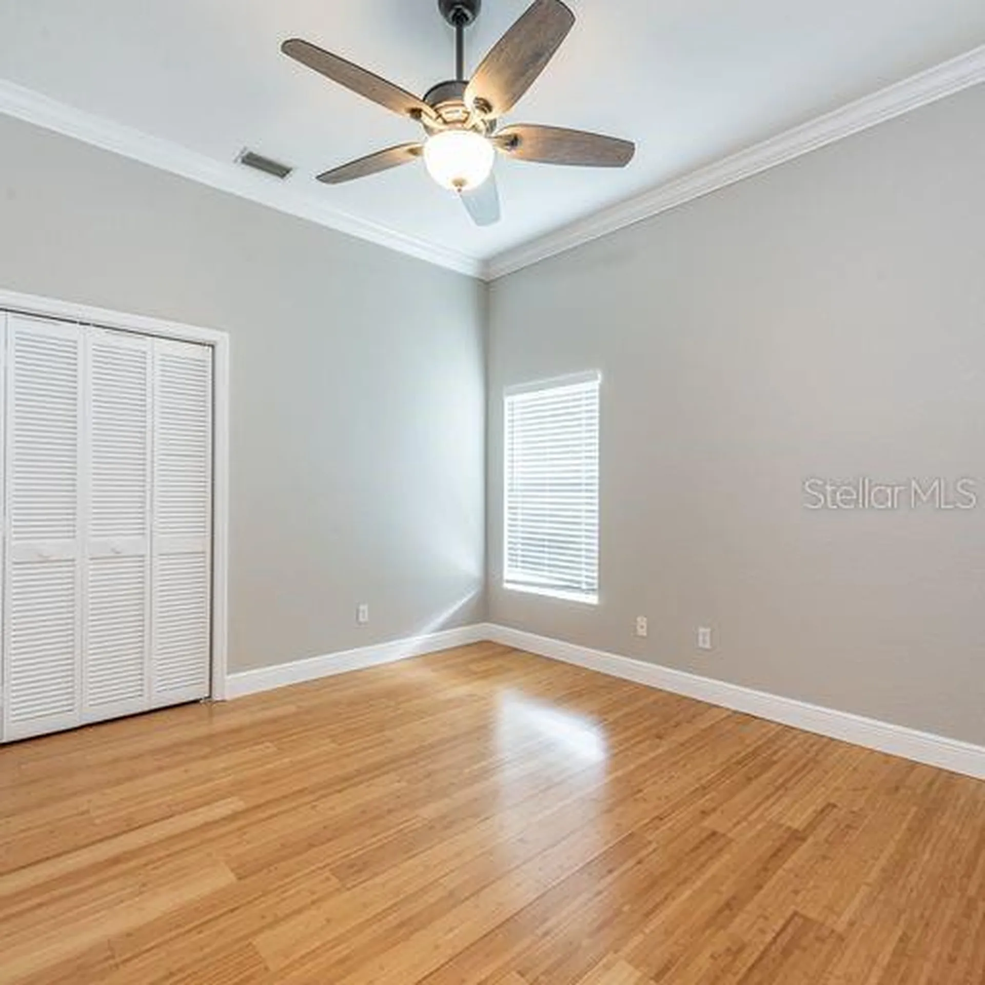 3902 Hidden Spring Place Valrico FL 33596