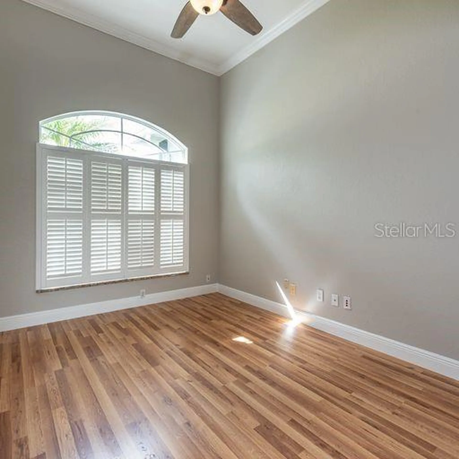 3902 Hidden Spring Place Valrico FL 33596