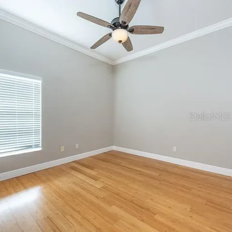 3902 Hidden Spring Place Valrico FL 33596
