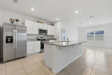 11308 Amber Ridge Drive Zellwood FL 32798