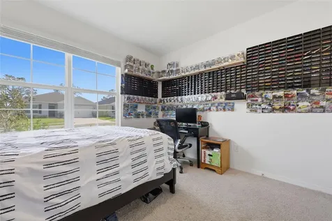 11308 Amber Ridge Drive Zellwood FL 32798
