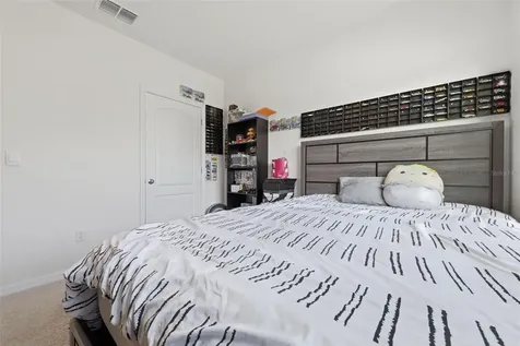 11308 Amber Ridge Drive Zellwood FL 32798