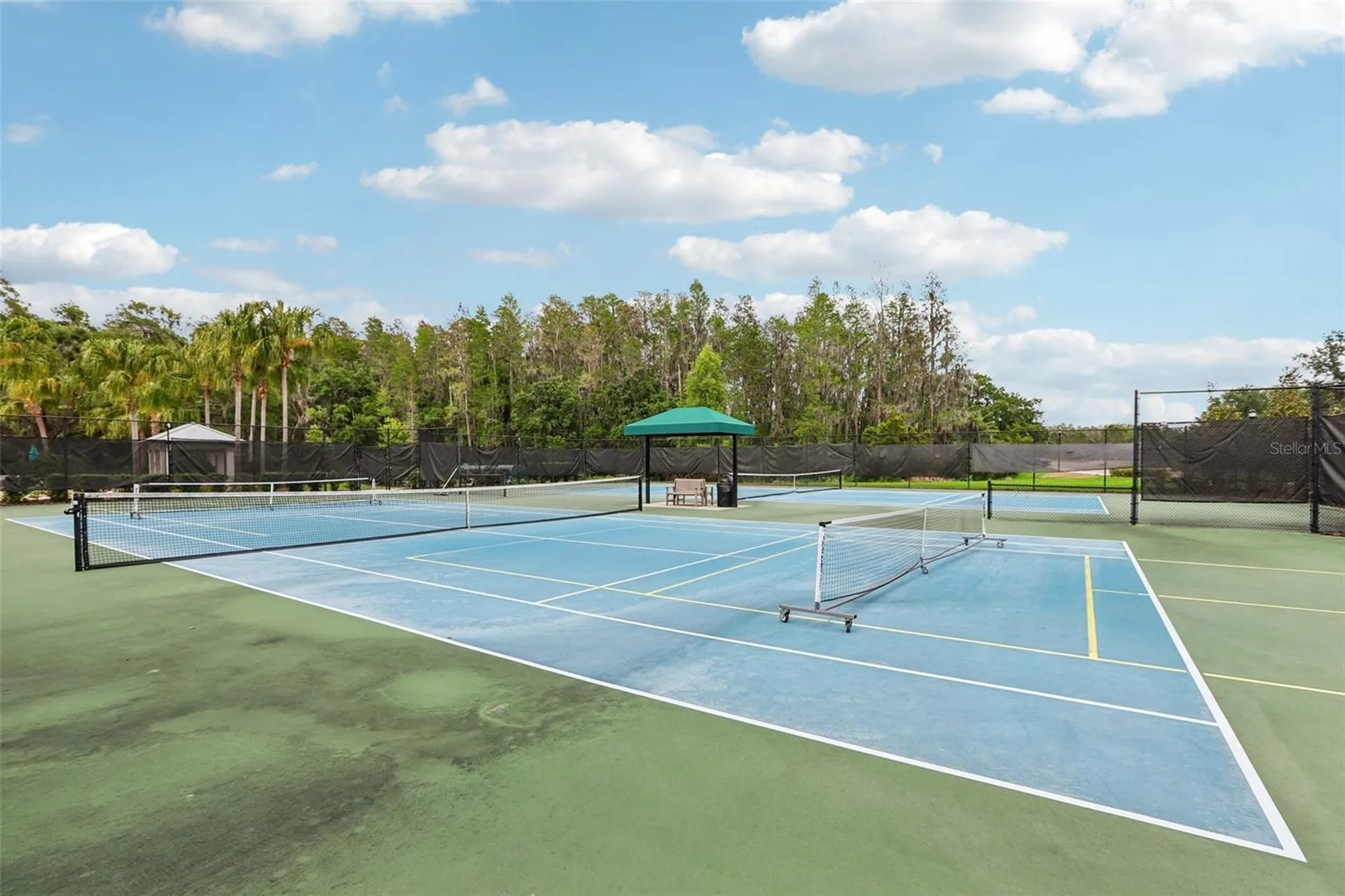10740 Pleasant Knoll Drive Tampa FL 33647