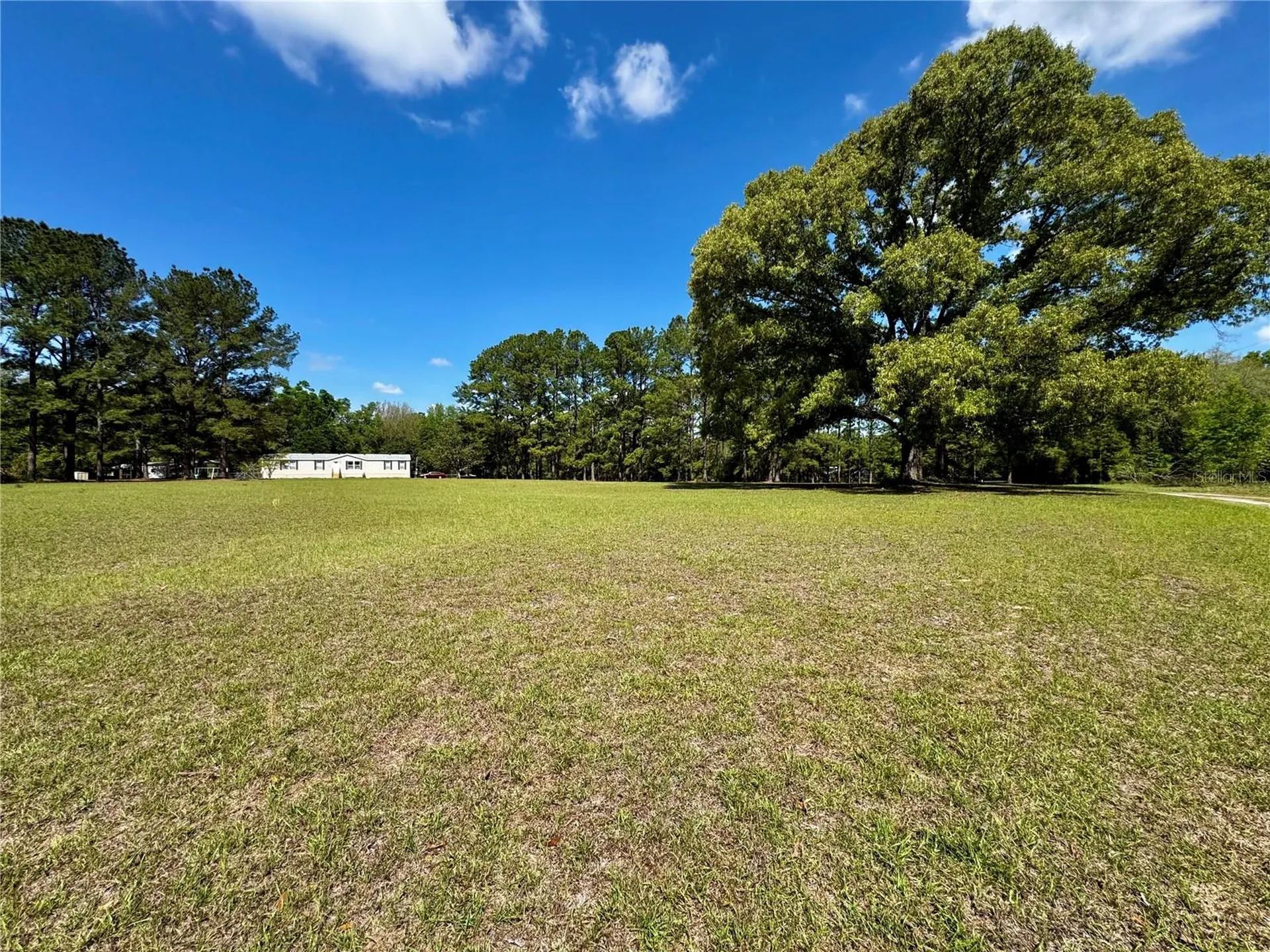 7222 NW 205th Terrace Alachua FL 32615