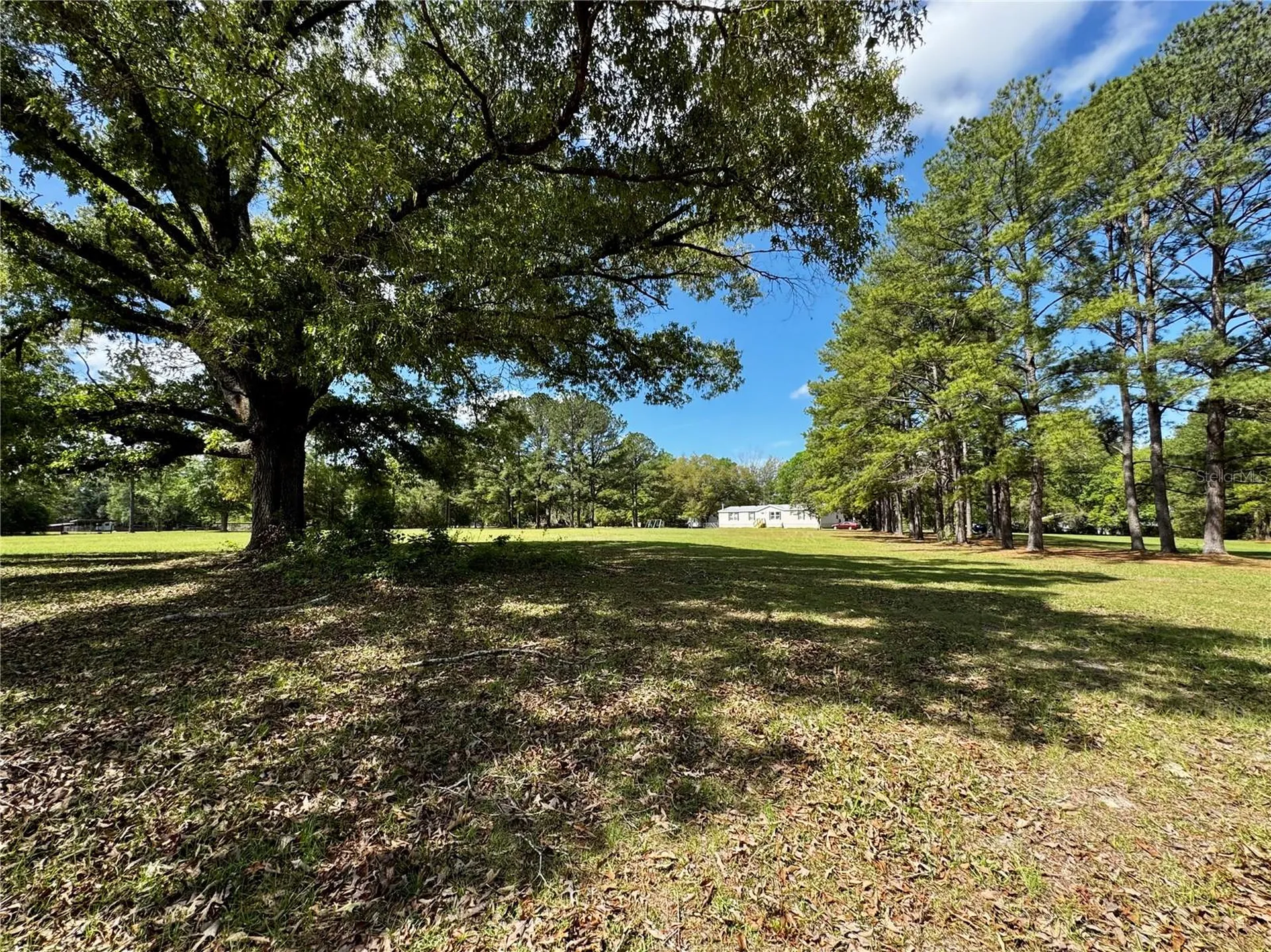 7222 NW 205th Terrace Alachua FL 32615
