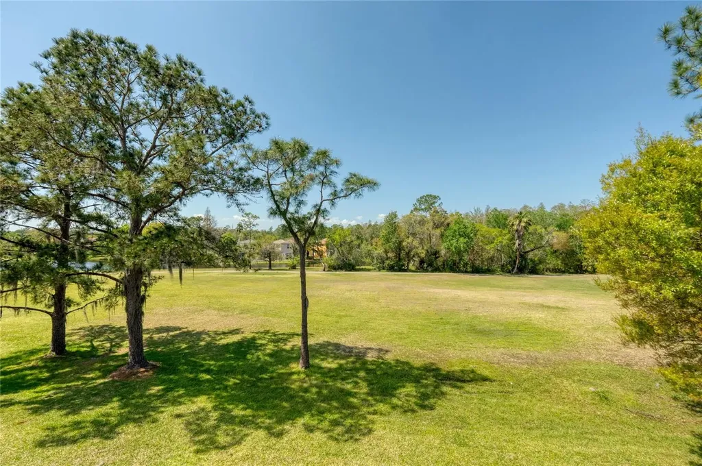 15618 Shoal Creek Place Odessa FL 33556
