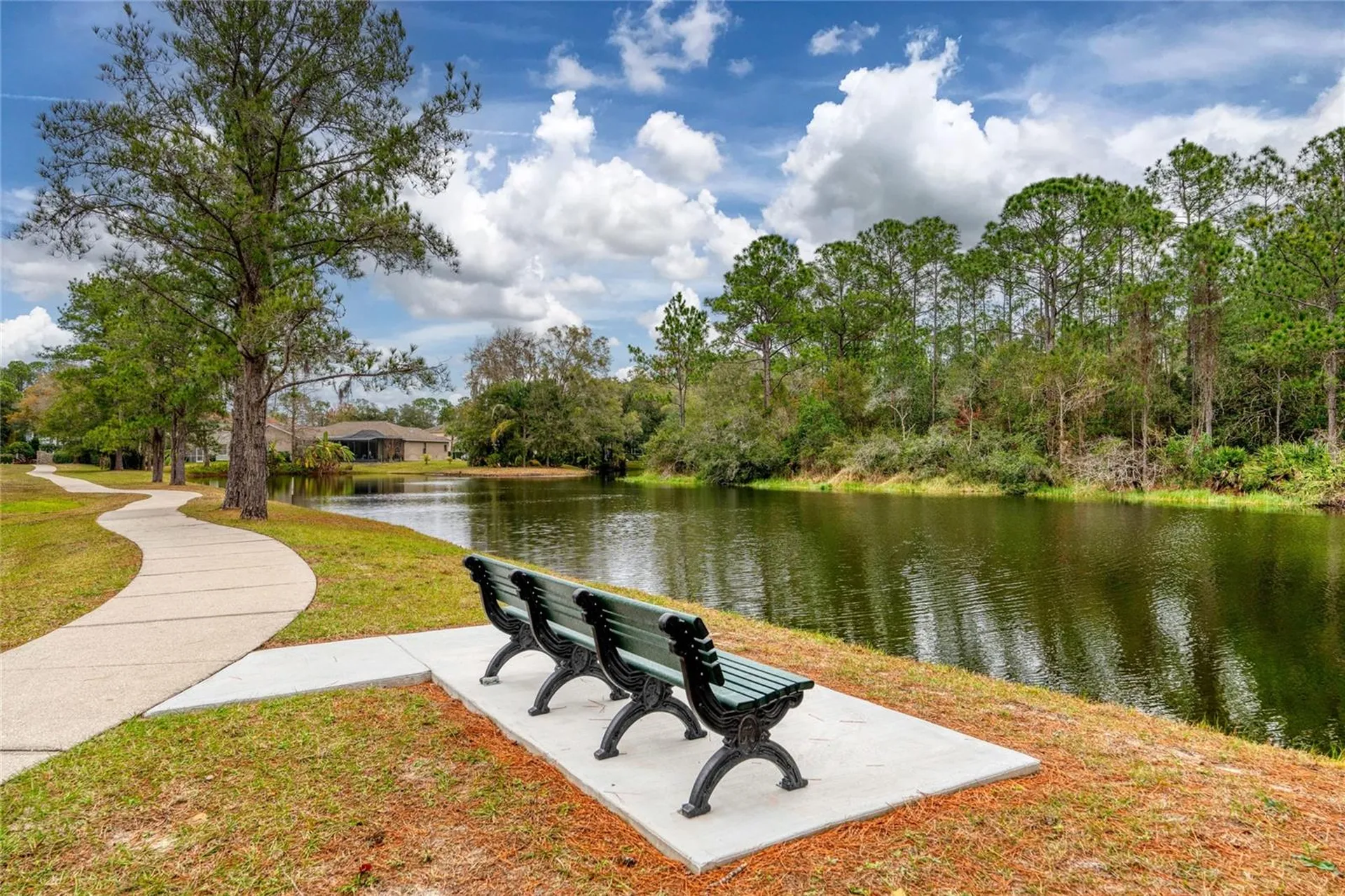 15618 Shoal Creek Place Odessa FL 33556