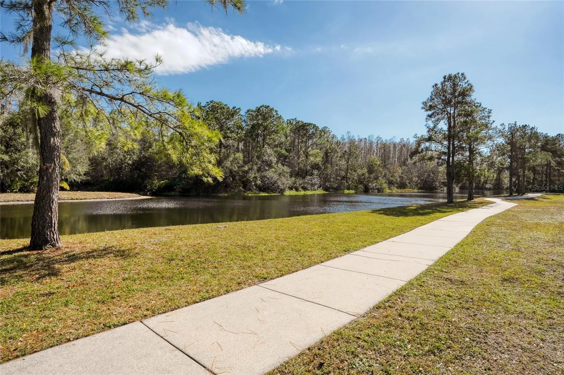 15618 Shoal Creek Place Odessa FL 33556