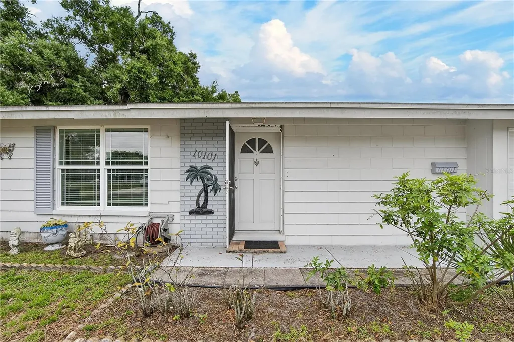 10101 Mariposa Place Tampa FL 33619