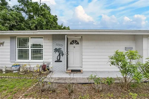 10101 Mariposa Place Tampa FL 33619