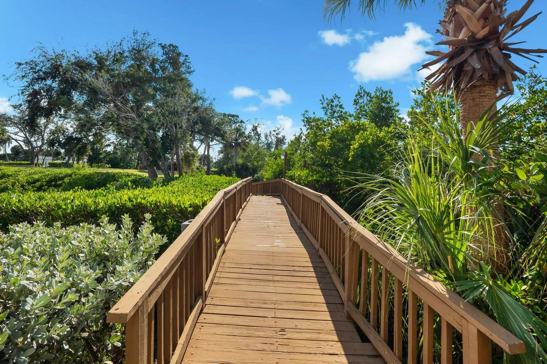 1202 Jessie Harbor Drive Osprey FL 34229