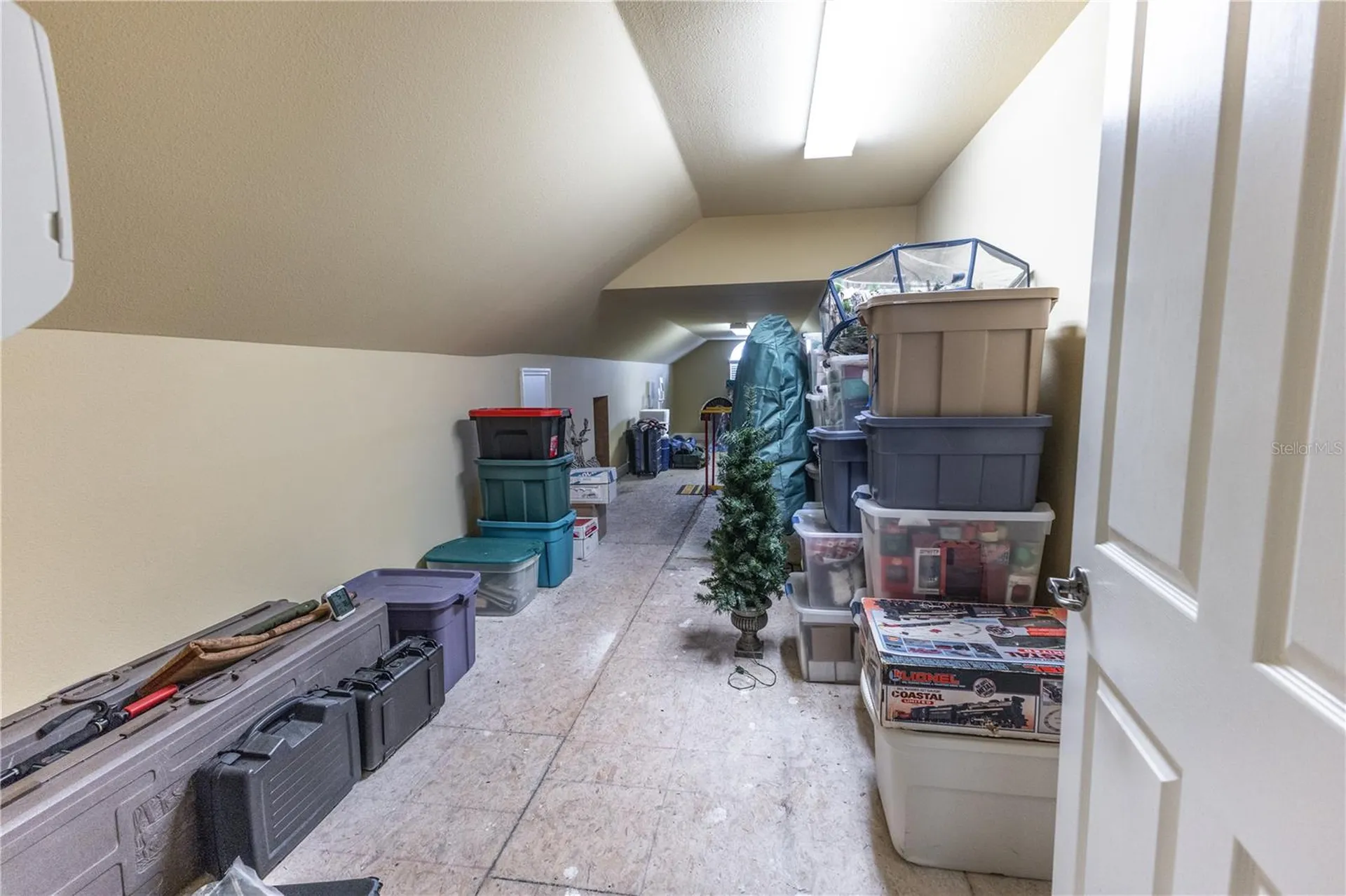 10517 NE 27th Street Oxford FL 34484