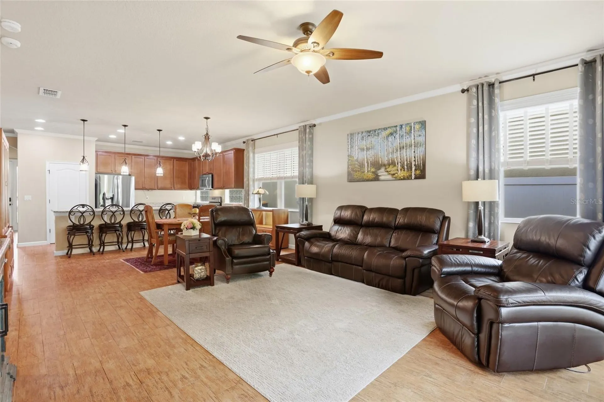 877 Haring Lane Mount Dora FL 32757
