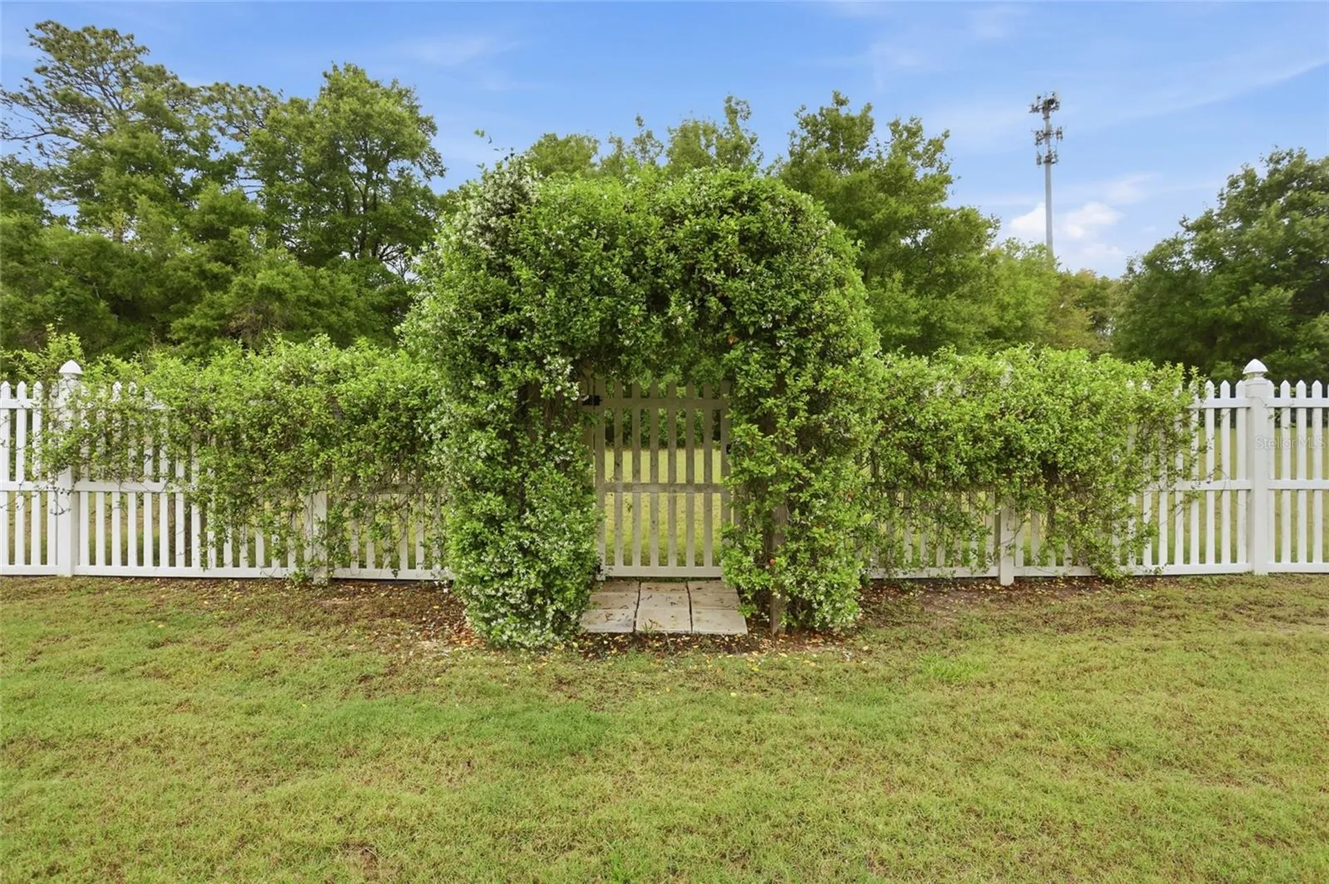 877 Haring Lane Mount Dora FL 32757