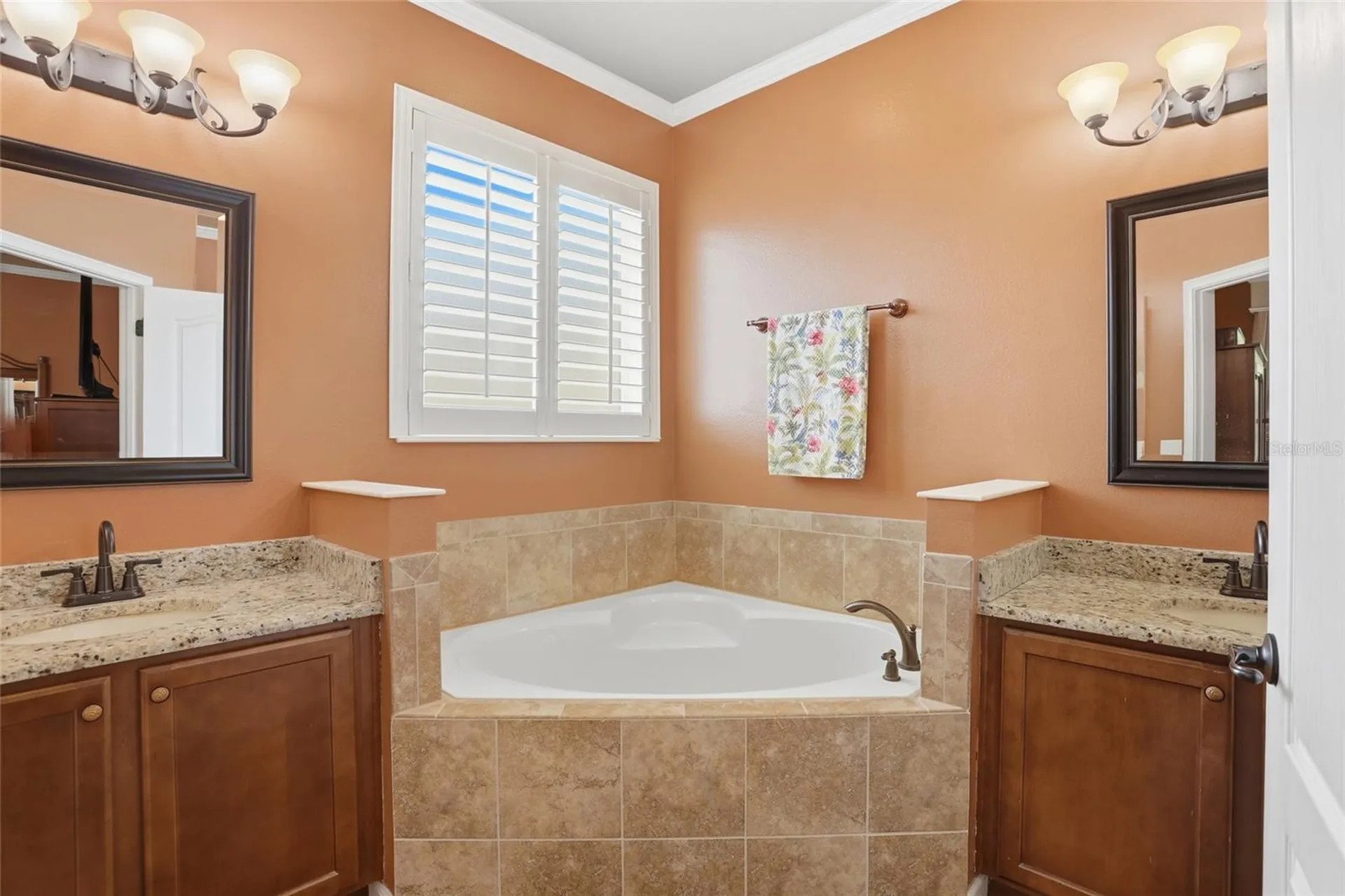 877 Haring Lane Mount Dora FL 32757