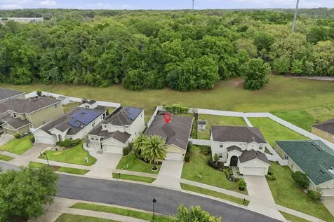 877 Haring Lane Mount Dora FL 32757