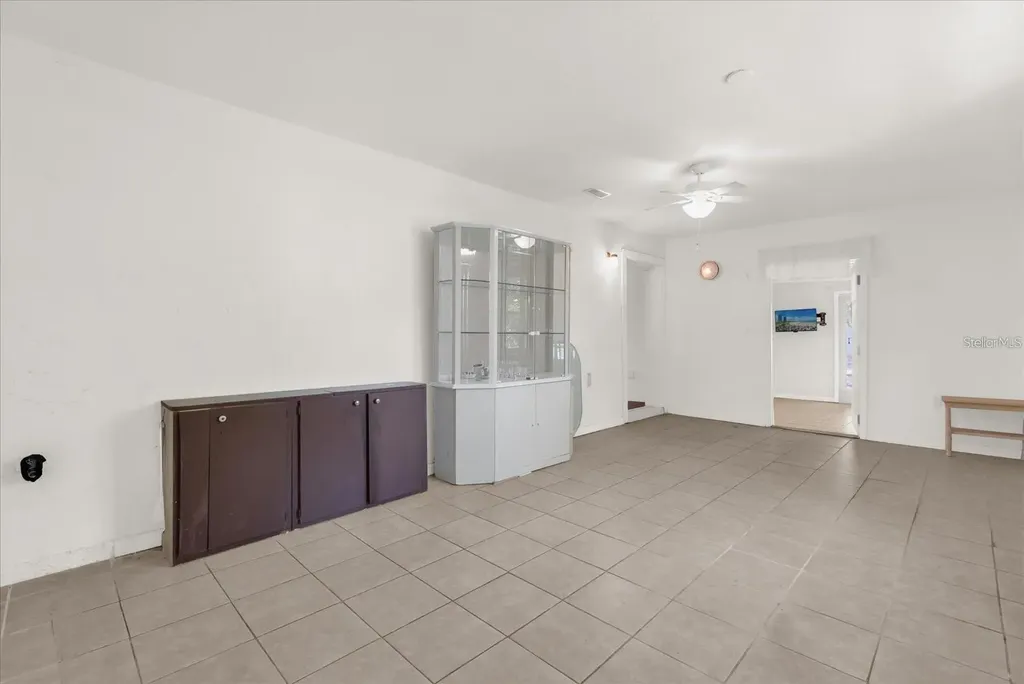 910 W Rich Drive Mount Dora FL 32757