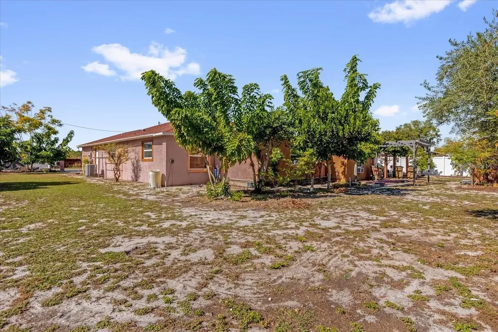 910 W Rich Drive Mount Dora FL 32757