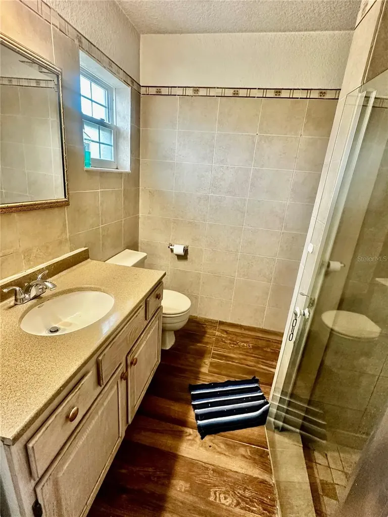 910 W Rich Drive Mount Dora FL 32757