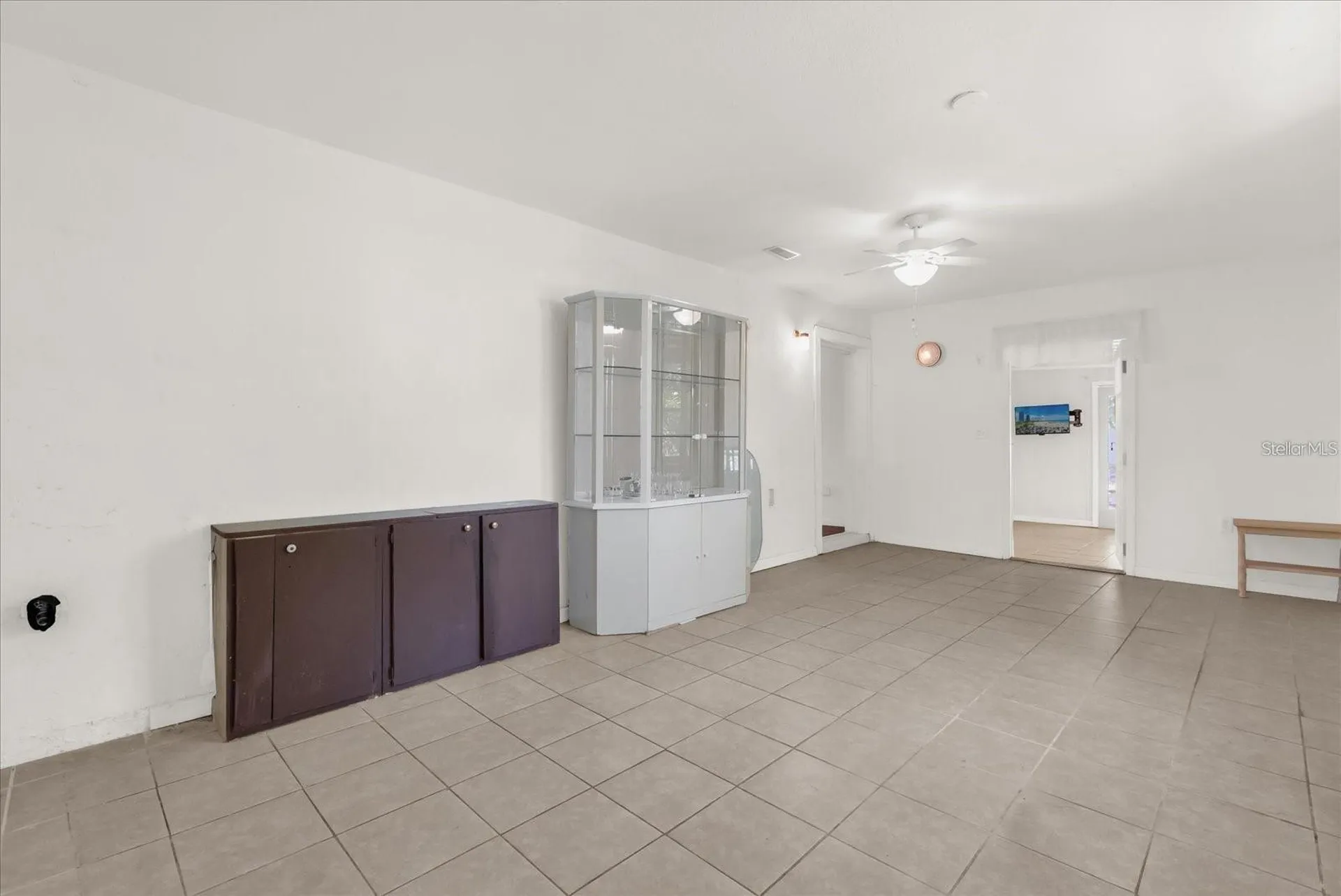 910 W Rich Drive Mount Dora FL 32757