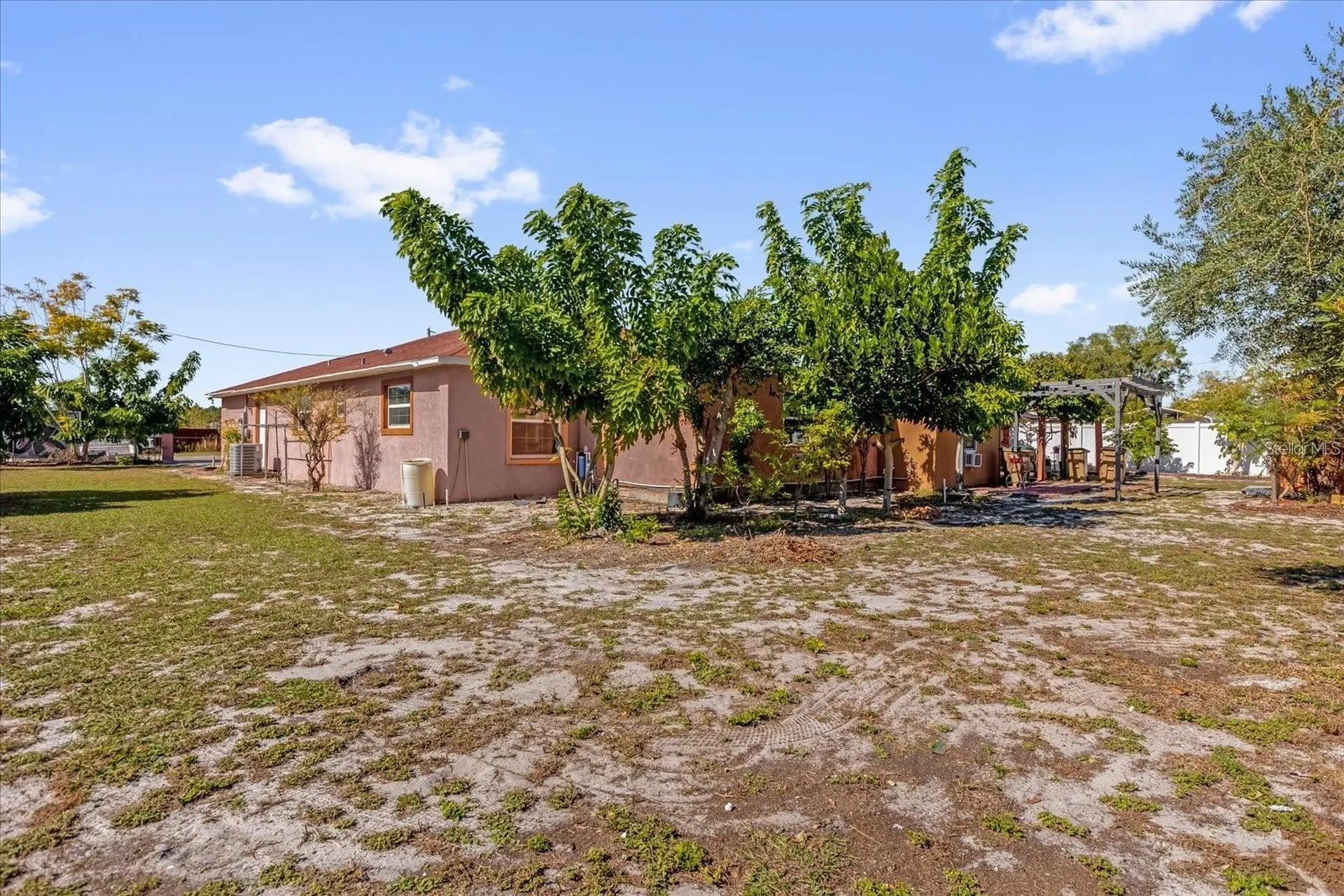 910 W Rich Drive Mount Dora FL 32757