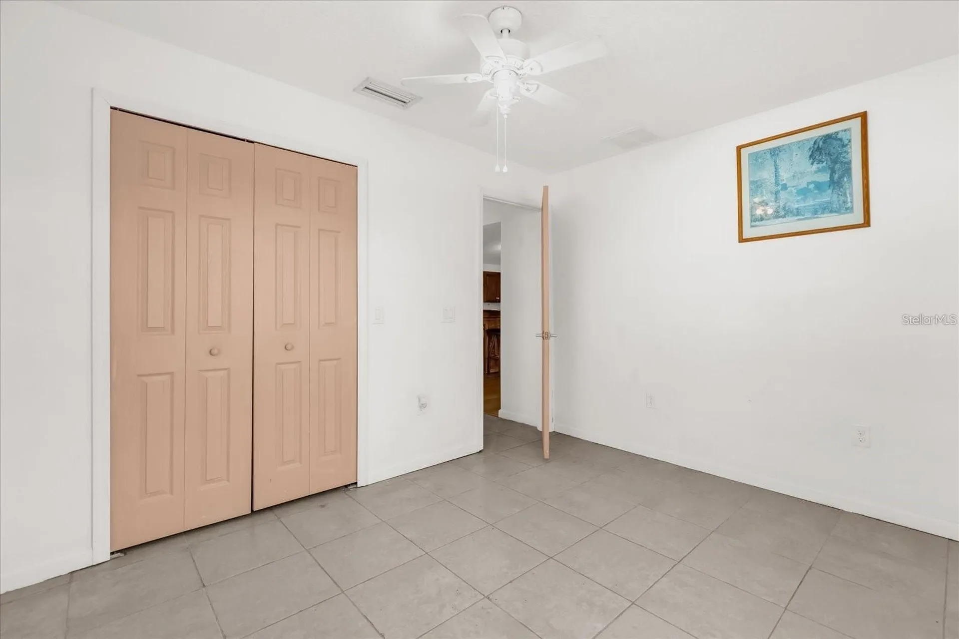 910 W Rich Drive Mount Dora FL 32757