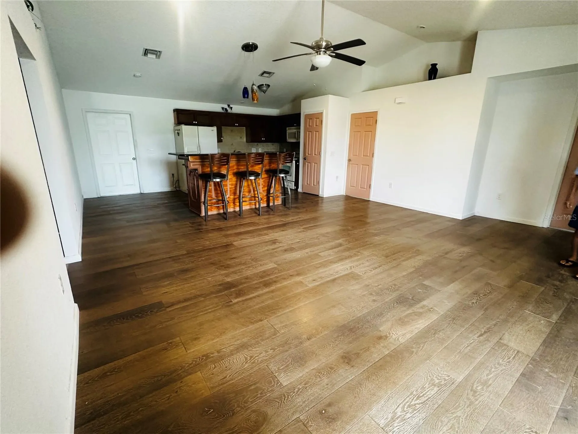 910 W Rich Drive Mount Dora FL 32757