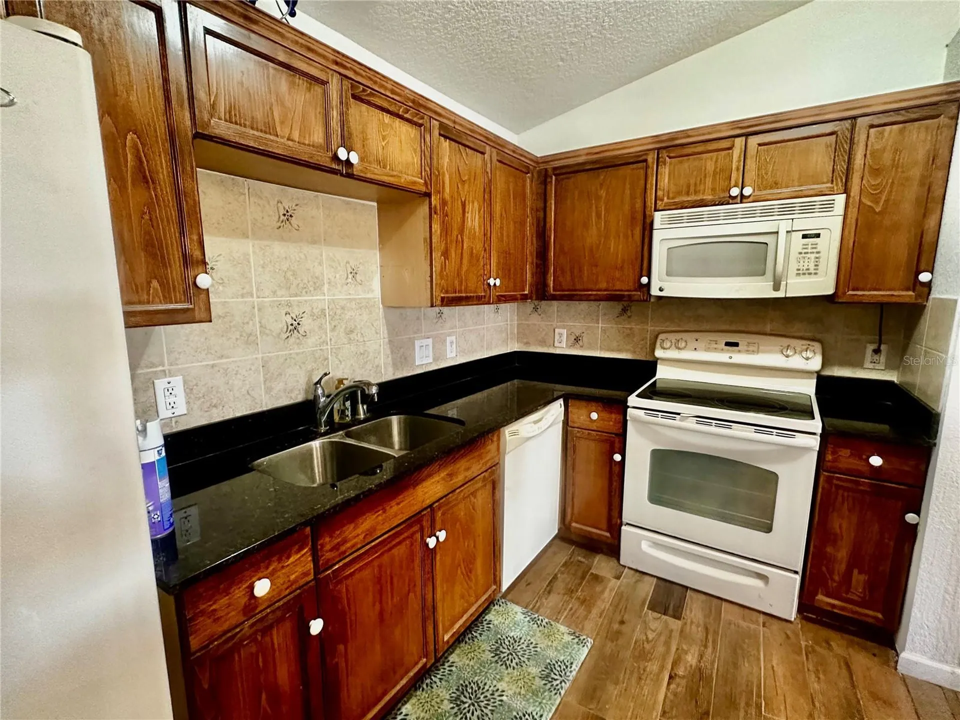 910 W Rich Drive Mount Dora FL 32757
