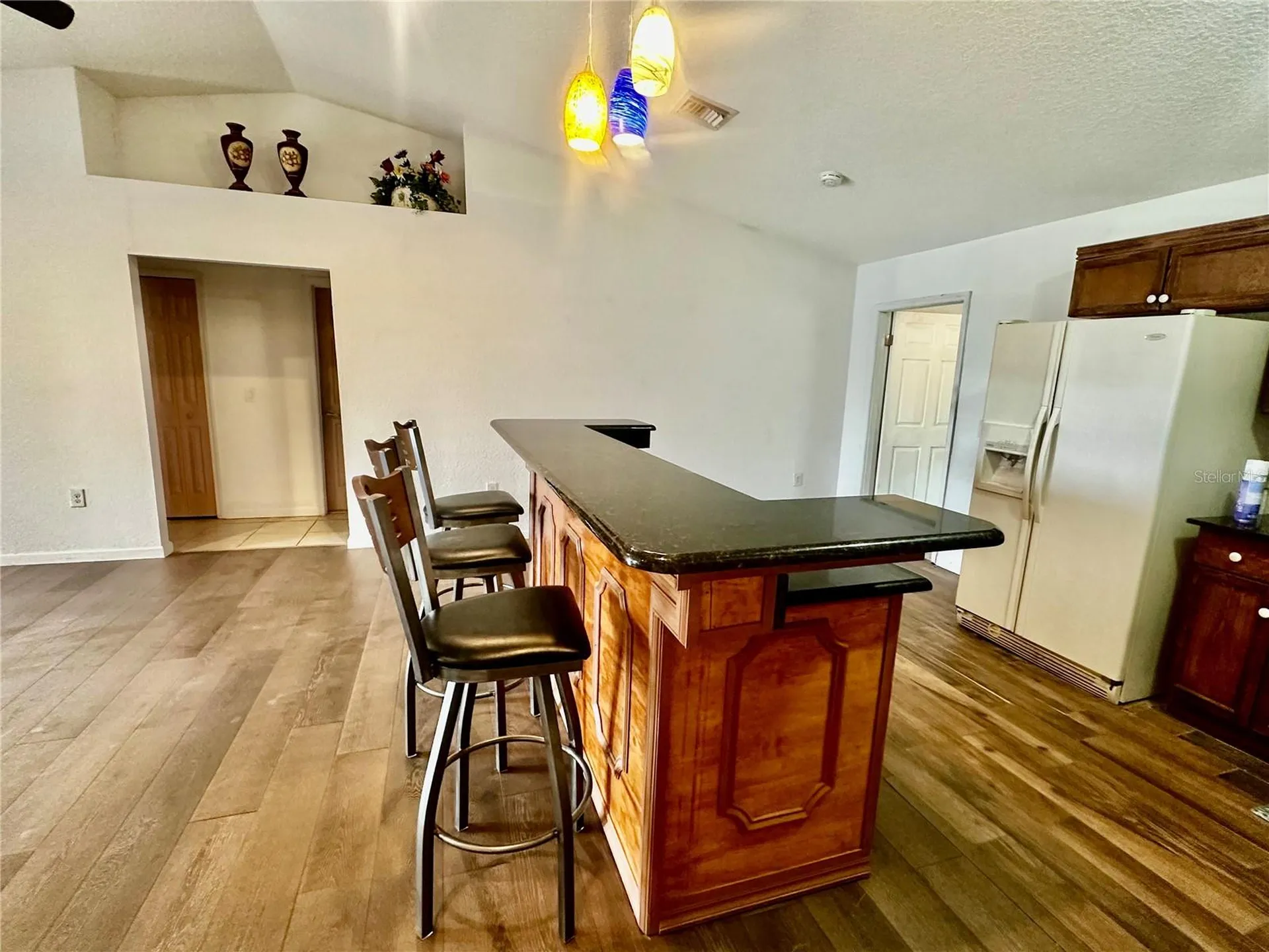910 W Rich Drive Mount Dora FL 32757