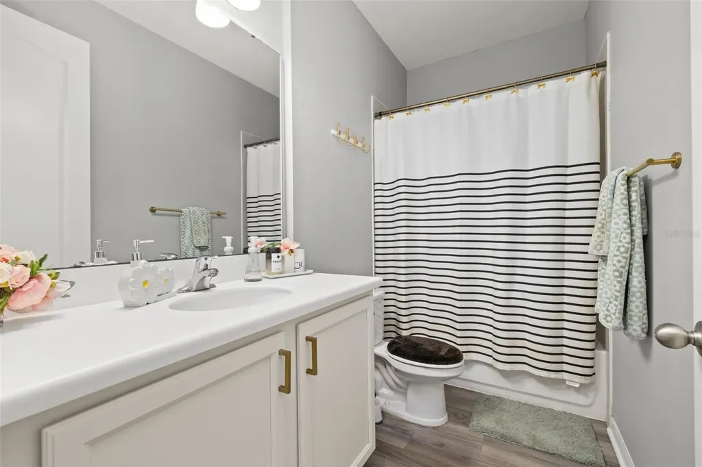 6408 Flat Lemon Drive Winter Garden FL 34787