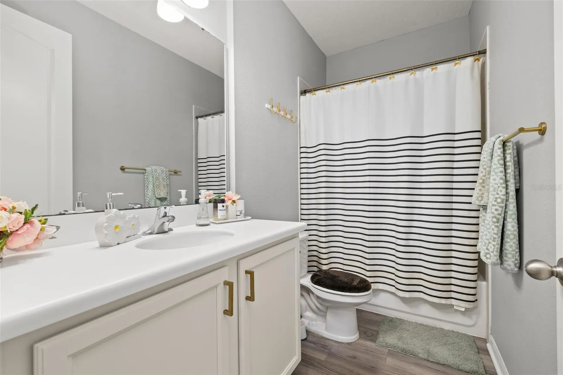 6408 Flat Lemon Drive Winter Garden FL 34787