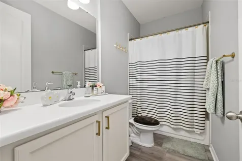 6408 Flat Lemon Drive Winter Garden FL 34787