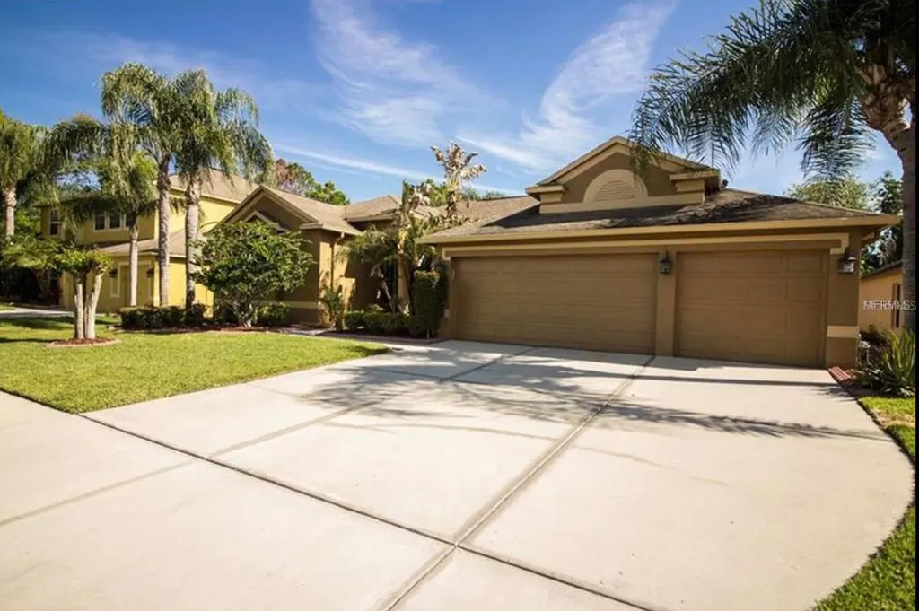 2620 Millhopper Avenue Wesley Chapel FL 33544