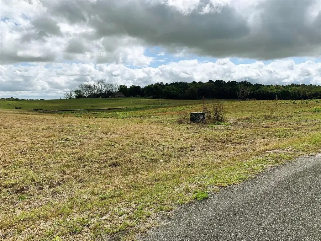 21635 SW 10th Street Dunnellon FL 34431