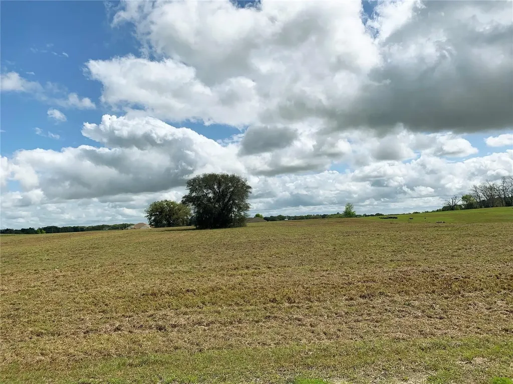 21635 SW 10th Street Dunnellon FL 34431