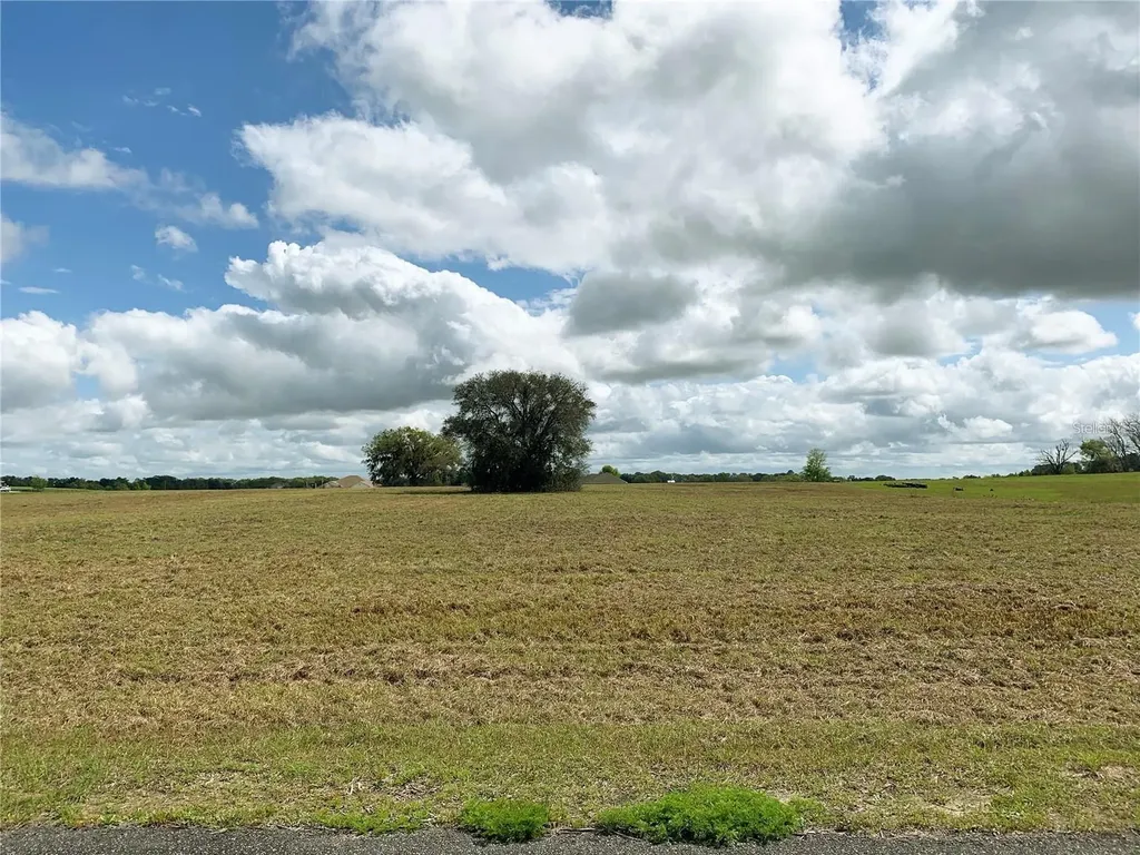 21635 SW 10th Street Dunnellon FL 34431
