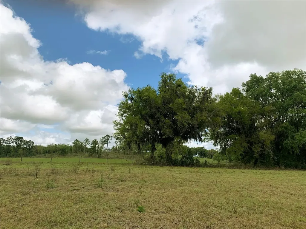 21635 SW 10th Street Dunnellon FL 34431