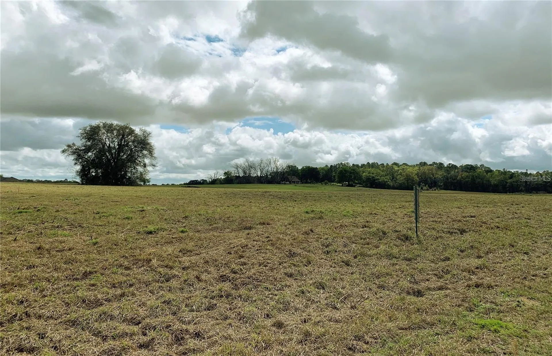 21635 SW 10th Street Dunnellon FL 34431