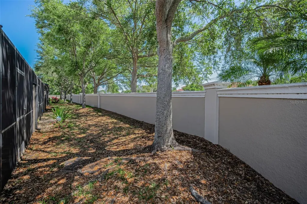 1411 Tessano Place Palm Harbor FL 34683