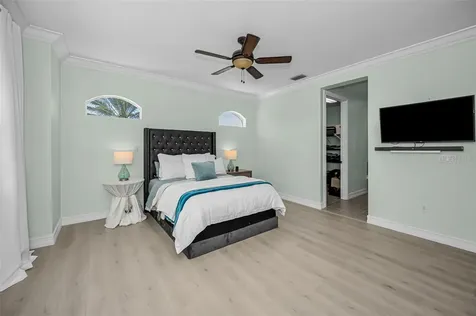 1411 Tessano Place Palm Harbor FL 34683