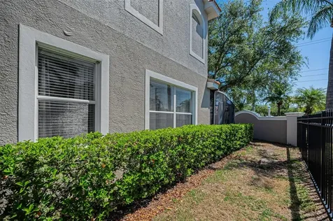 1411 Tessano Place Palm Harbor FL 34683