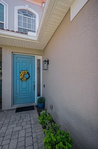 1411 Tessano Place Palm Harbor FL 34683