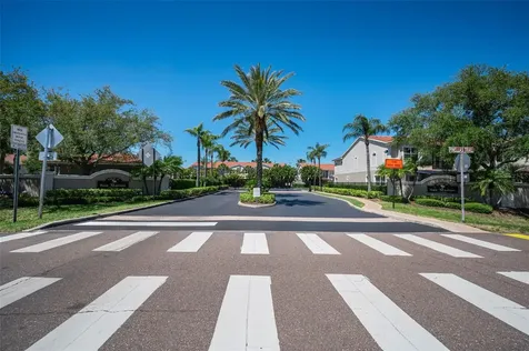 1411 Tessano Place Palm Harbor FL 34683