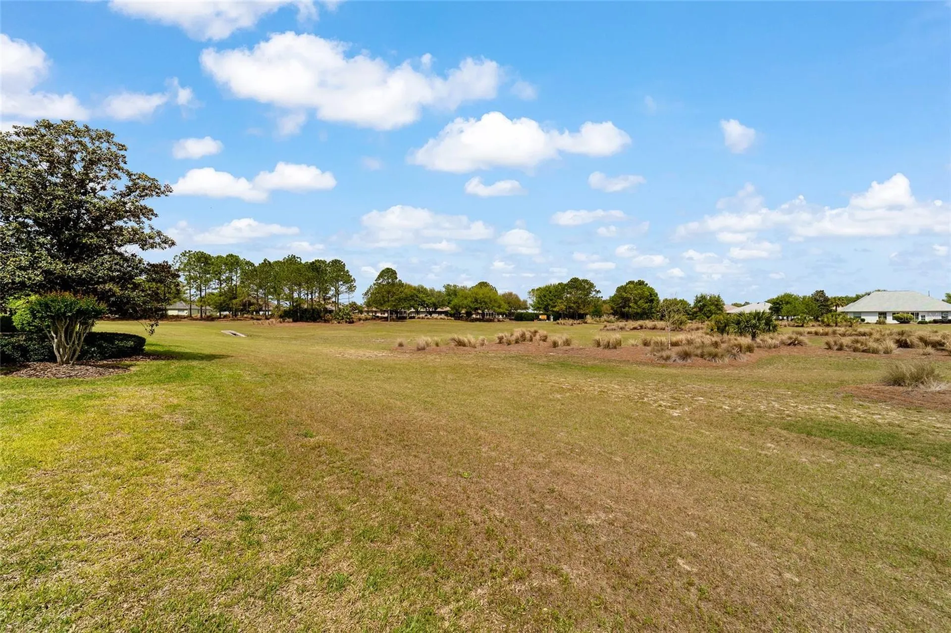 8719 SW 83rd Circle Ocala FL 34481